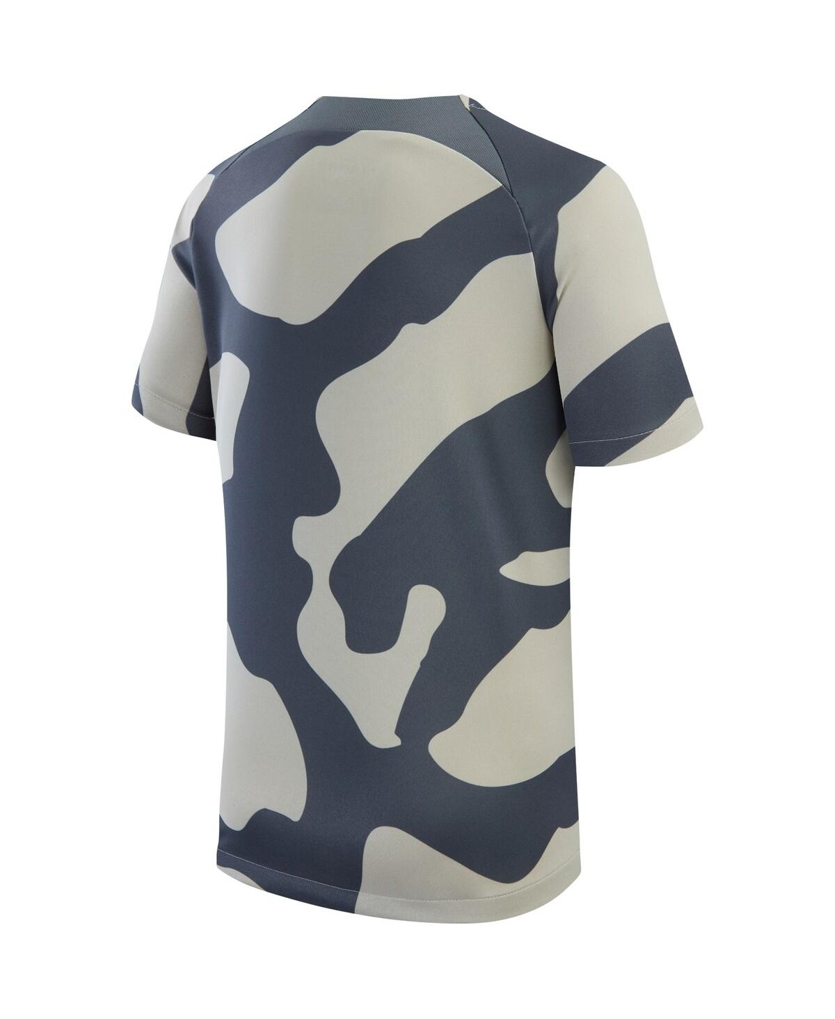 Big Boys JordanParis Saint-Germain 2023/24 Academy Pro Performance Pre-Match Top - Gray