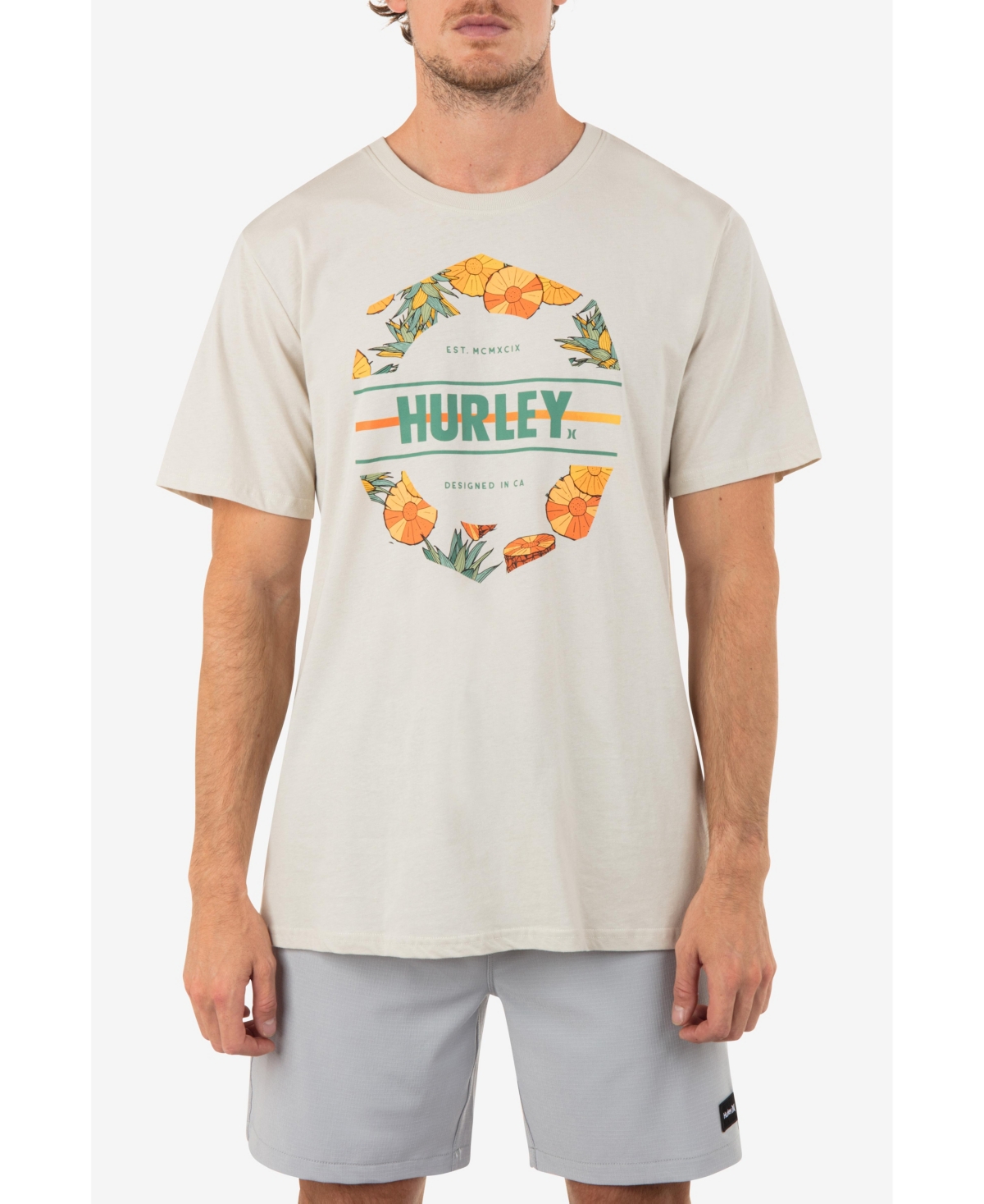 Shop Hurley Men's Everyday Pina Short Sleeve T-shirt In Bone