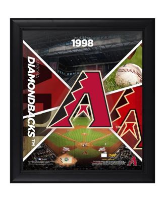 Arizona Diamondbacks Framed 15
