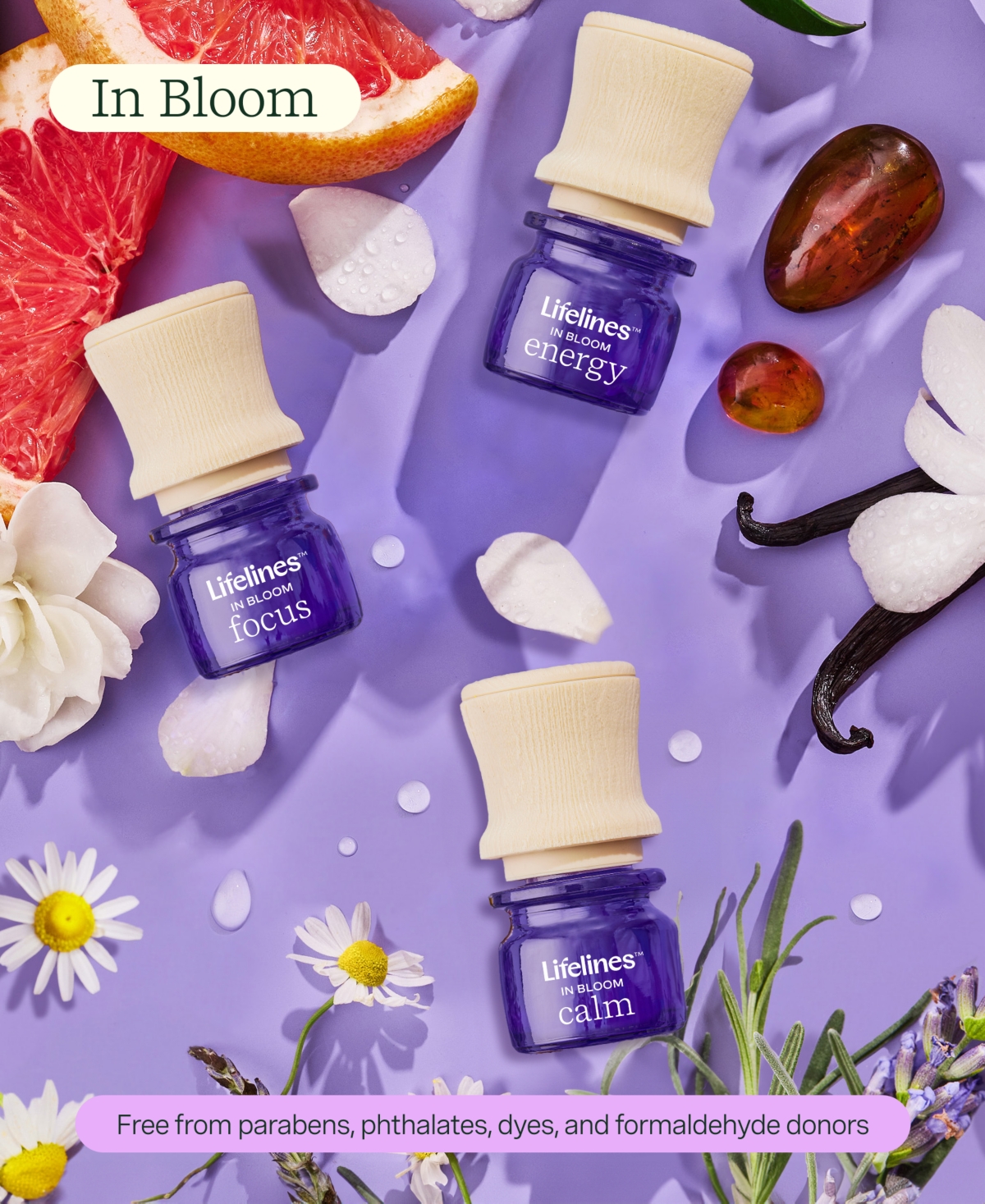 Lifelines Everyday Diffuser And Full Essential Oil Blends Collection In Multi Colored