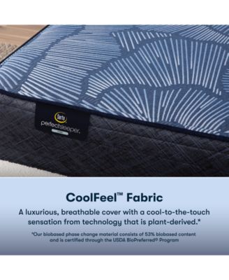 Serta Perfect Sleeper Euphoric Nights 14 Plush Hybrid Mattress Collection In No Color