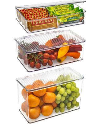 Storage Bins For Pantry & Fridge With Hinged Lids (3 Piece Variety)