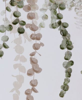 Botanical Waterfall Eucalyptus 2-Pc. Framed Canvas Wall Decor Set