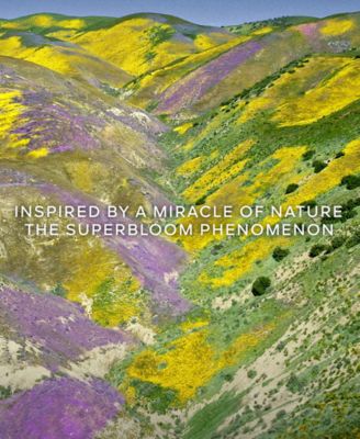 Aqua Allegoria Florabloom Eau de Toilette Refill, 6.7 oz.