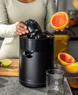 Enfinigy Silver-Tone Citrus Juicer