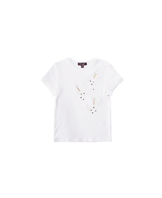 IMOGA Collection