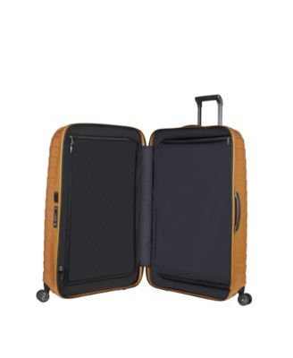 Proxis XLarge Spinner