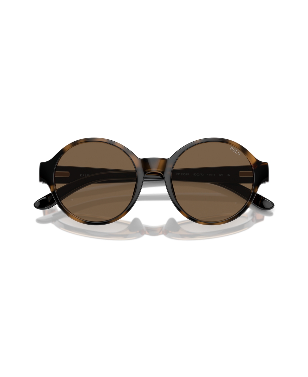 Polo Ralph Lauren Sunglasses, Pp9508u In Shiny Dark Havana