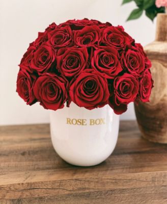 Half Ball of Long Lasting Preserved Real Roses in Classic Ceramic Vase, 35 Roses