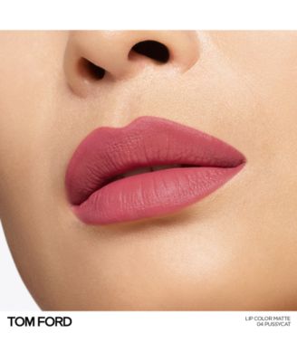 Lip Color Matte Lipstick