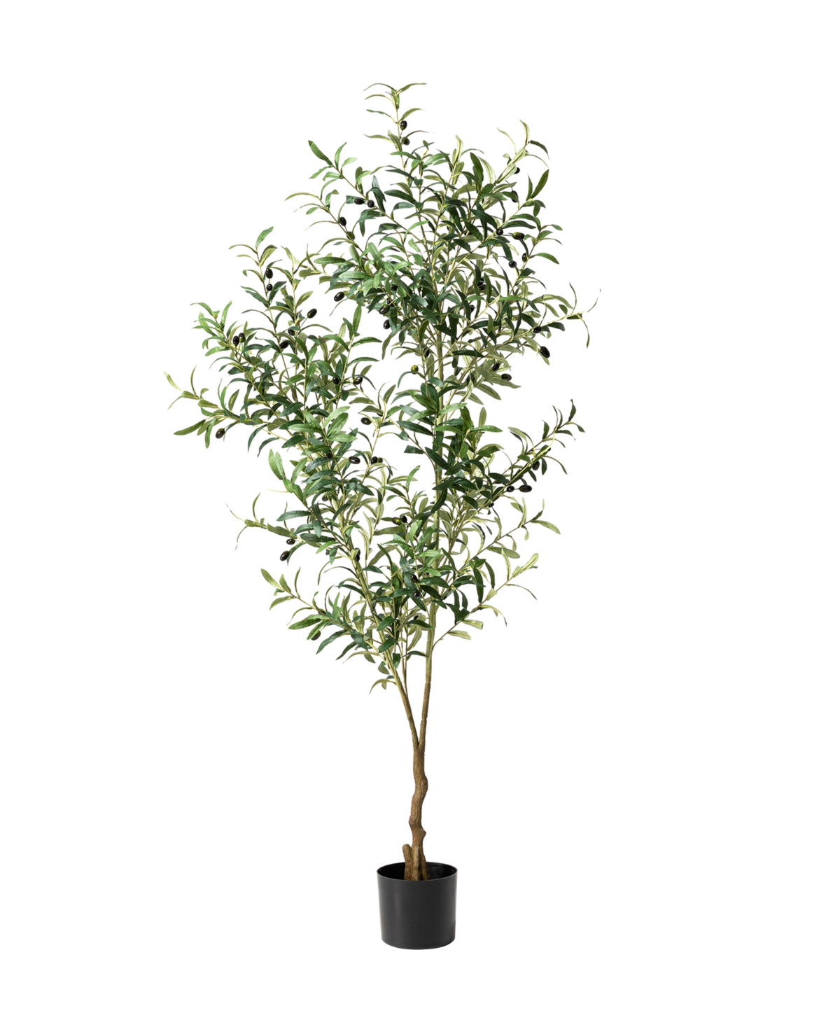 6ft. Faux Olive Tree in Pot - Multi