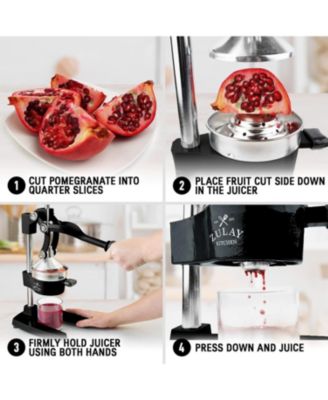 Professional Citrus Juicer + 2 in 1 Lemon Squeezer Complete Set