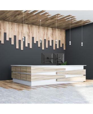 Fully Adjustable Dual Arm Desktop Mount  DML2000 Monitor Mount