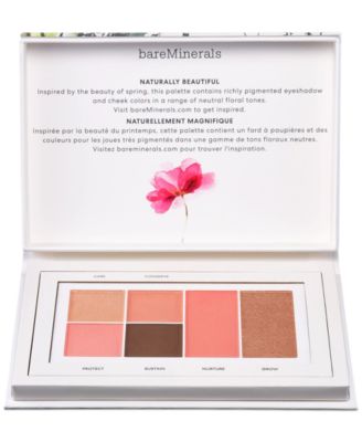 bareMinerals - Eye & Cheek Palette, 0.33 oz.