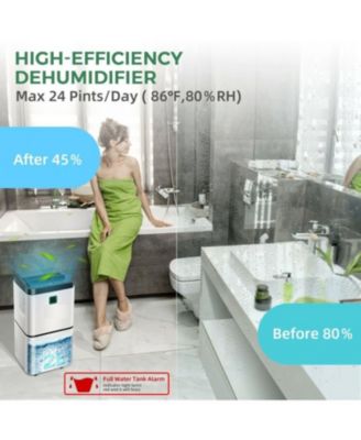 24 Pints 1500 Sq. ft Dehumidifier for Medium to Large Room with Indicator