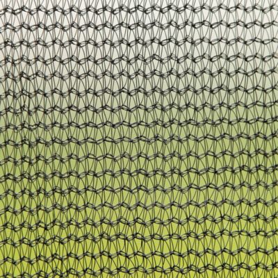 Streamdale 15ft Trampoline with Hoop, Ladder, and Enclosure