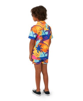 Little Boys 2 Pc Summer Shirt and Shorts Set