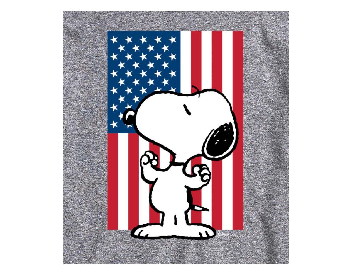Airwaves Hybrid Apparel Peanuts Flag Mens Short Sleeve Tee In Ath Hthr