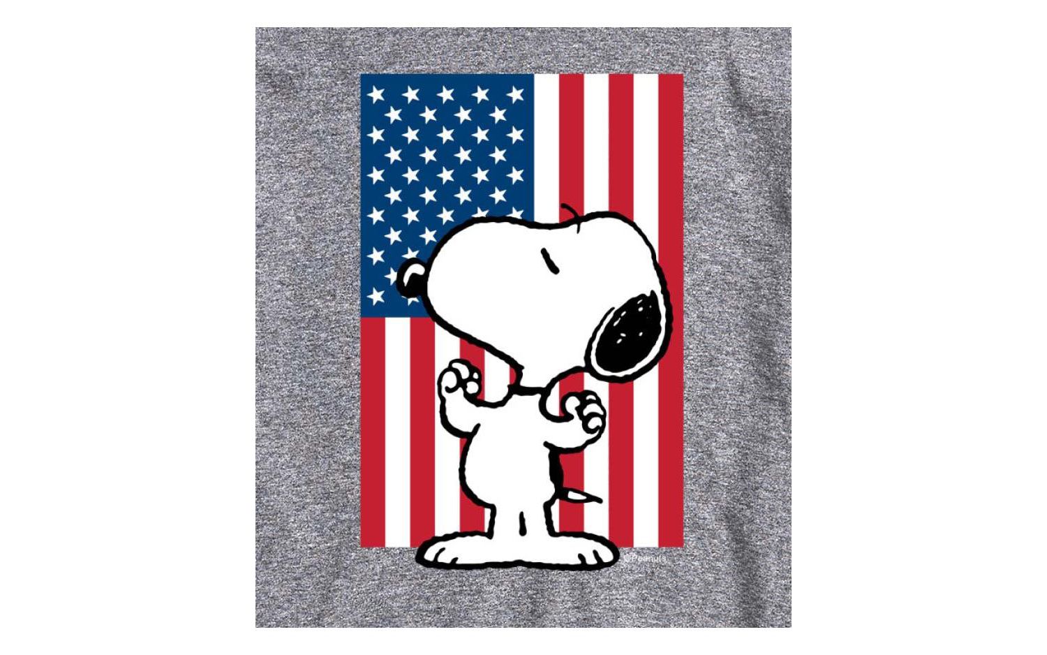 Hybrid Apparel Peanuts Flag Mens Short Sleeve Tee