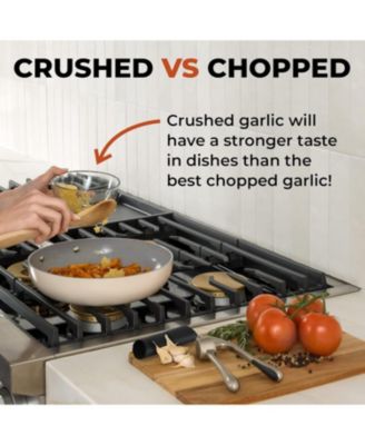 Premium Garlic Press Set - Rust Proof & Dishwasher Safe Professional Garlic Mincer Tool