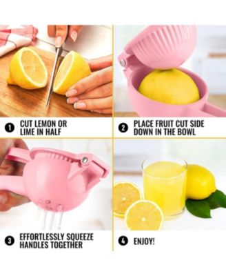 Single Bowl Metal Citrus Juicer Hydration Nation Orange Squeezer