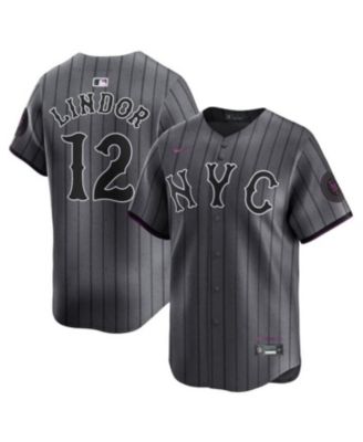 【NIKE】ニューヨーク・メッツ　2024新作 シティ・コネクトモデル　M Nike Men's Graphite Francisco Lindor New York Mets 2024 City