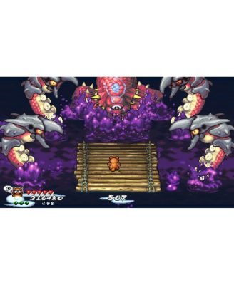 Pocky & Rocky Reshrined Switch