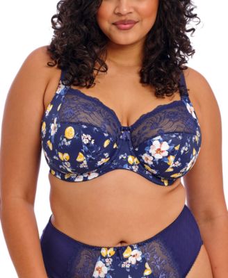 Full Figure Morgan Banded Underwire Stretch Lace Bra EL4110, Online Only 
