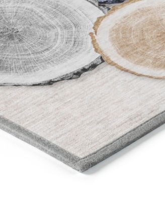 Chantille Machine Washable ACN575 5'x7'6 Area Rug