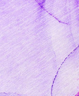 Chantille Machine Washable ACN507 5'x7'6 Area Rug