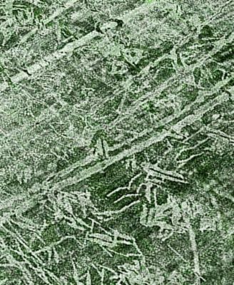 Chantille Machine Washable ACN559 5'x7'6 Area Rug