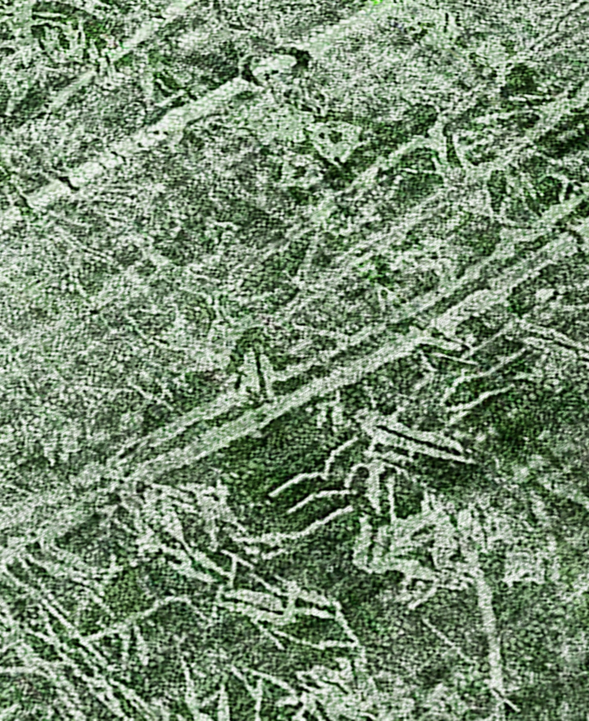 Addison Chantille Machine Washable Acn559 8'x10' Area Rug In Jade