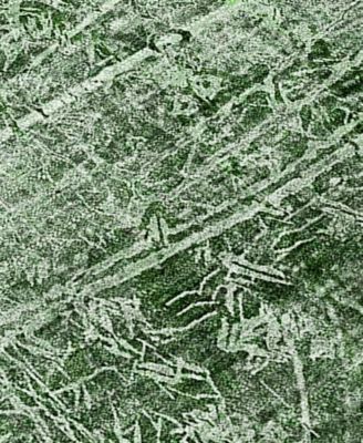 Chantille Machine Washable ACN559 8'x10' Area Rug