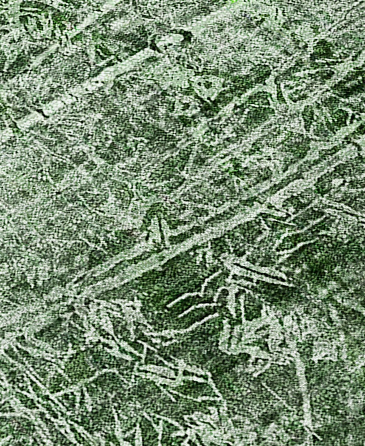 Addison Chantille Machine Washable Acn559 8'x10' Area Rug In Jade