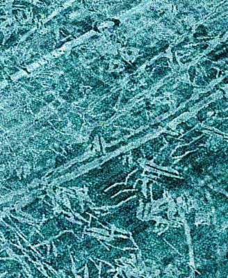 Chantille Machine Washable ACN559 8'x10' Area Rug