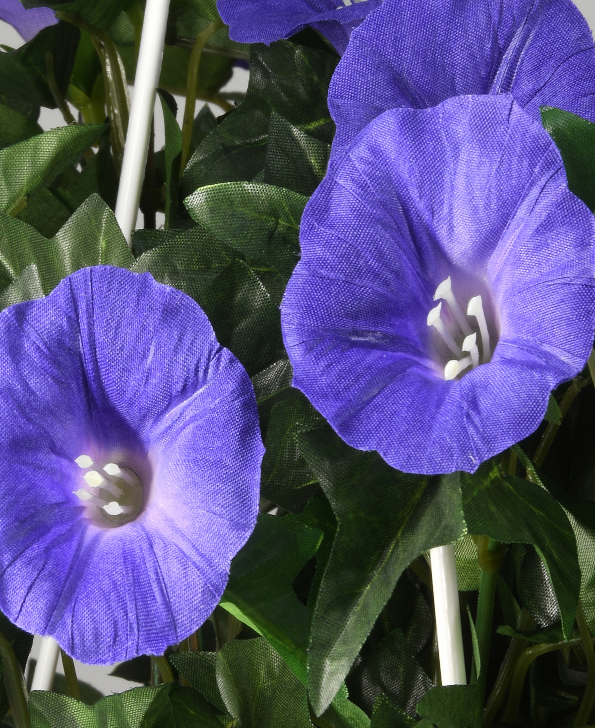 National Tree Company 44 Hanging Morning Glory Plant In Green