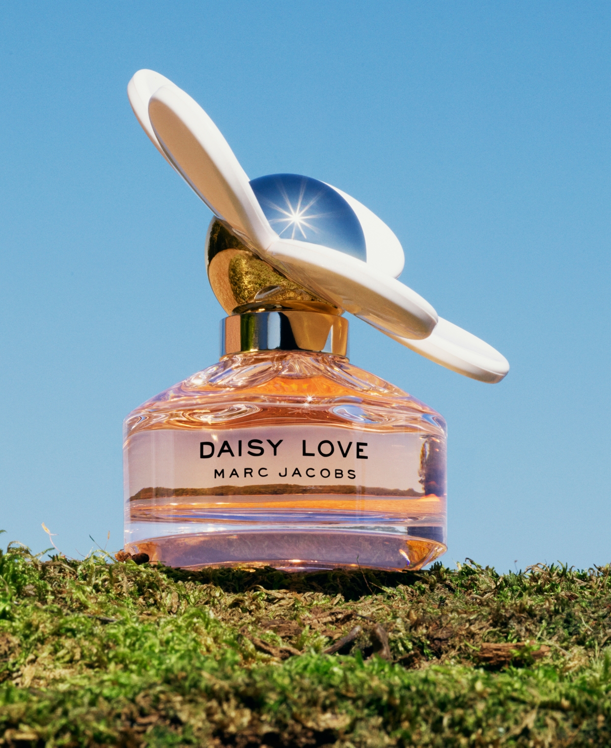 Shop Marc Jacobs 3-pc. Daisy Love Eau De Toilette Gift Set In No Color