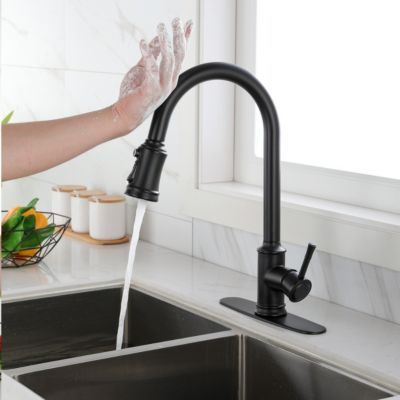 Touch Kitchen Faucet With Pull Down Sprayer