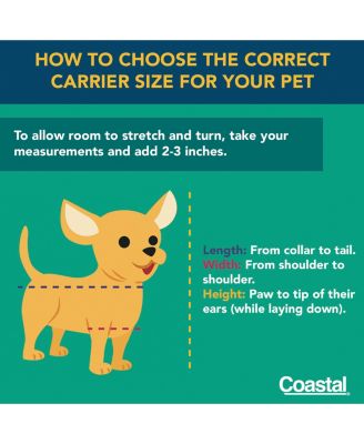 Bergan - Comfort Carrier for Cat, Dog and Other Pets - Heather Berry (19 x 10 x 13 Inches)