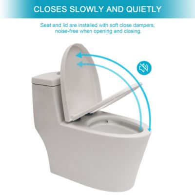 Ceramic One Piece Toilet, Dual Flush With Soft Closing Seat 0000