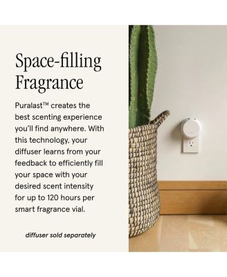 & Tommy Bahama Home Scent Refill - Smart Home Air Diffuser Fragrance - Up to 120-Hours of Premium Fragrance per Refill - Household Essential - Clean & Safe Diffuser Fragrance - 2 Pack, Maui Mango