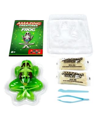 Amazing Creatures Synthetic Dissection Kit - Frog