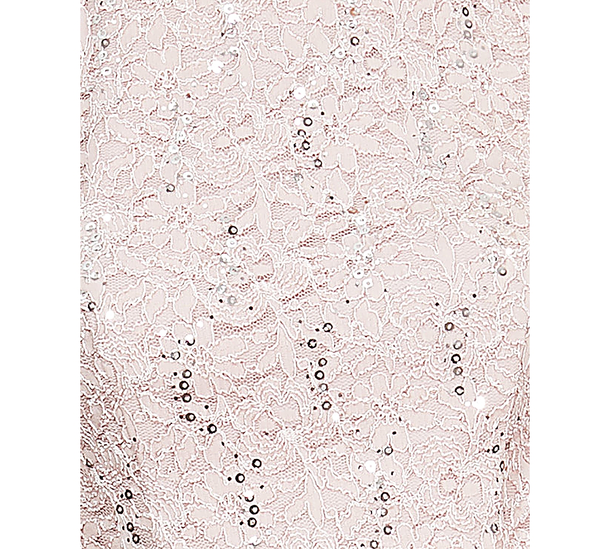 Alex Evenings Women's Sequin Embellished Lace Top Gown