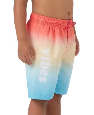 Toddler Boys Swim Trunks with Mesh Liner UPF 50+