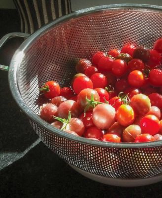 Endurance Precision Pierced Stainless Steel 5 Quart Colander