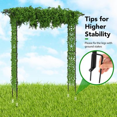 Garden Wedding Rose Arch Pergola Archway Flowers Climbing Plants Trellis Metal