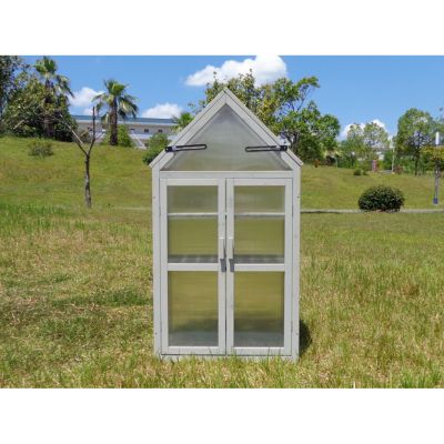 Streamdale Small Outdoor/Indoor Greenhouse Kit & Plant Stand