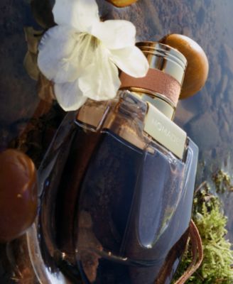 Chloe Chloé Nomade Eau de Parfum Spray, 2.5-oz. - Macy's