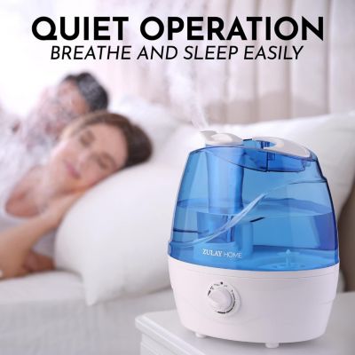 0.66-Gallon, 2.5 Liter Cool Mist Ultrasonic Humidifier for Home