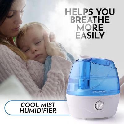 0.66-Gallon, 2.5 Liter Cool Mist Ultrasonic Humidifier for Home